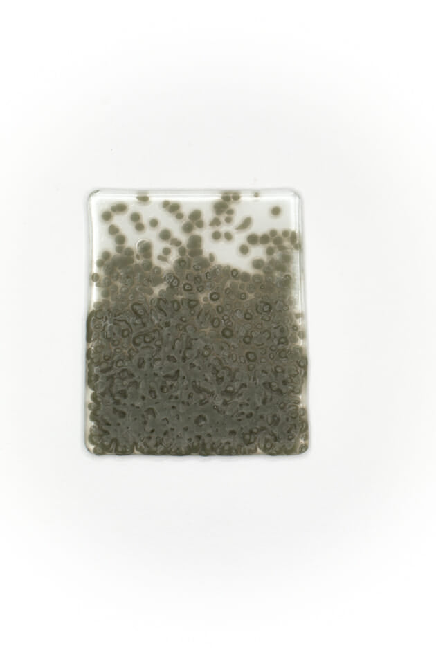Opaque Gray