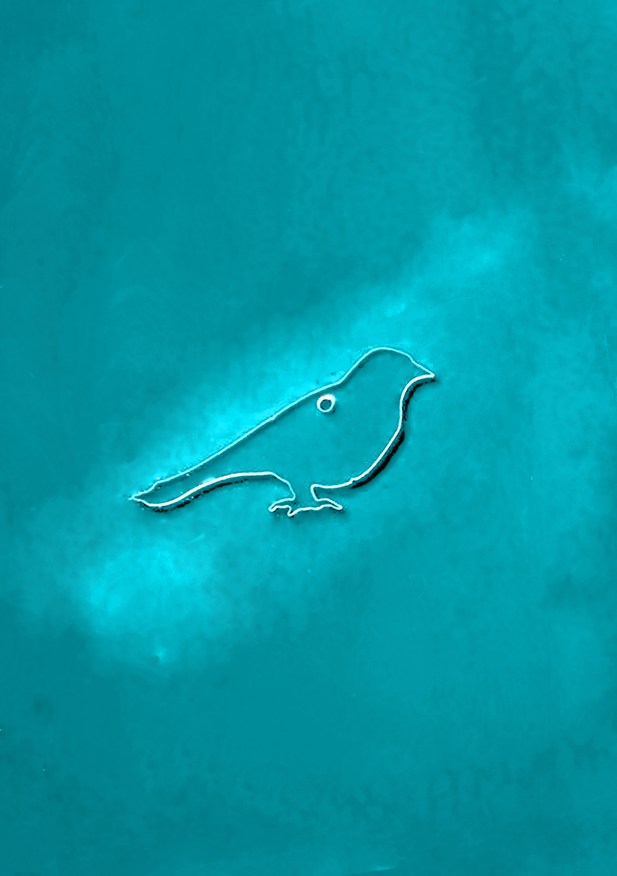 Birdy