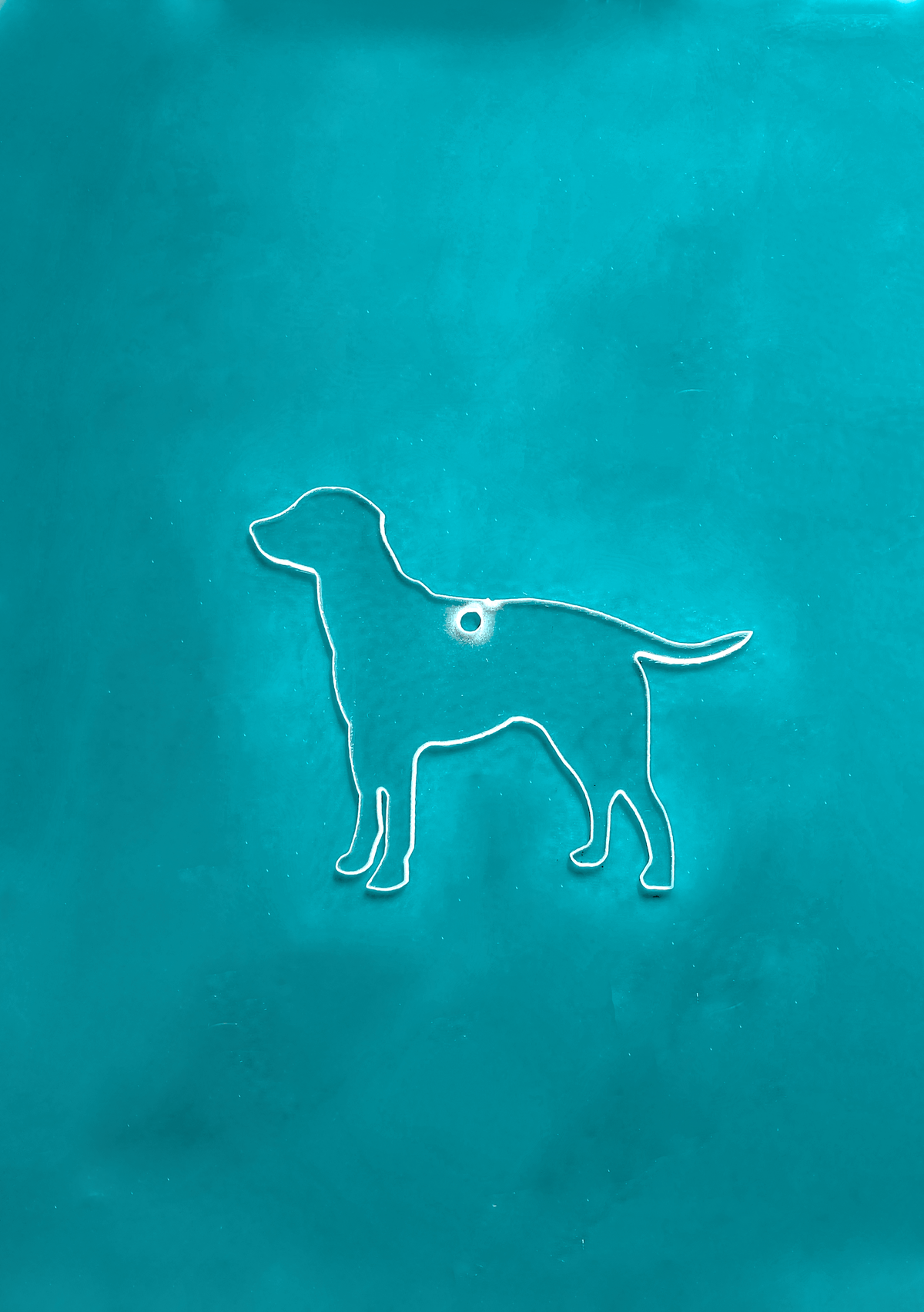 Dog - Labrador Retreiver
