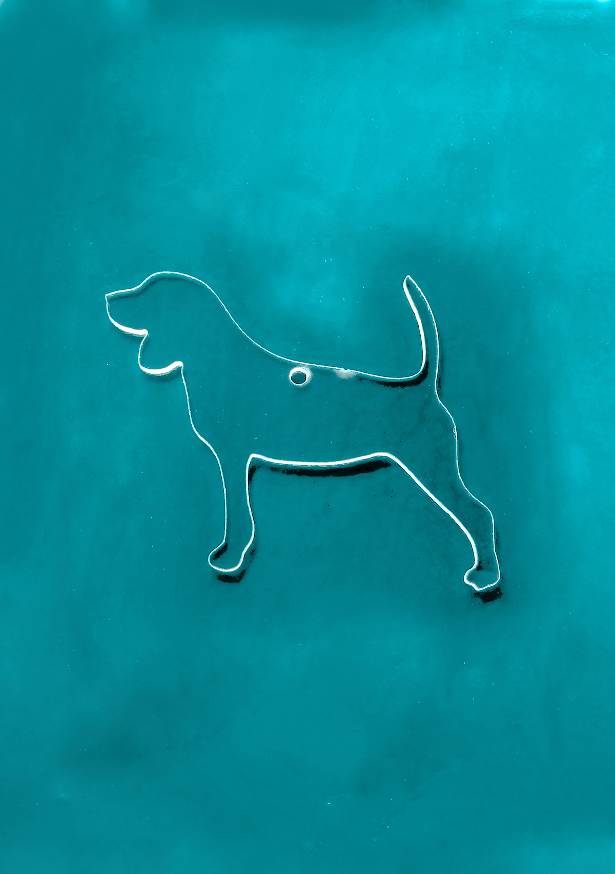 Dog - Beagle