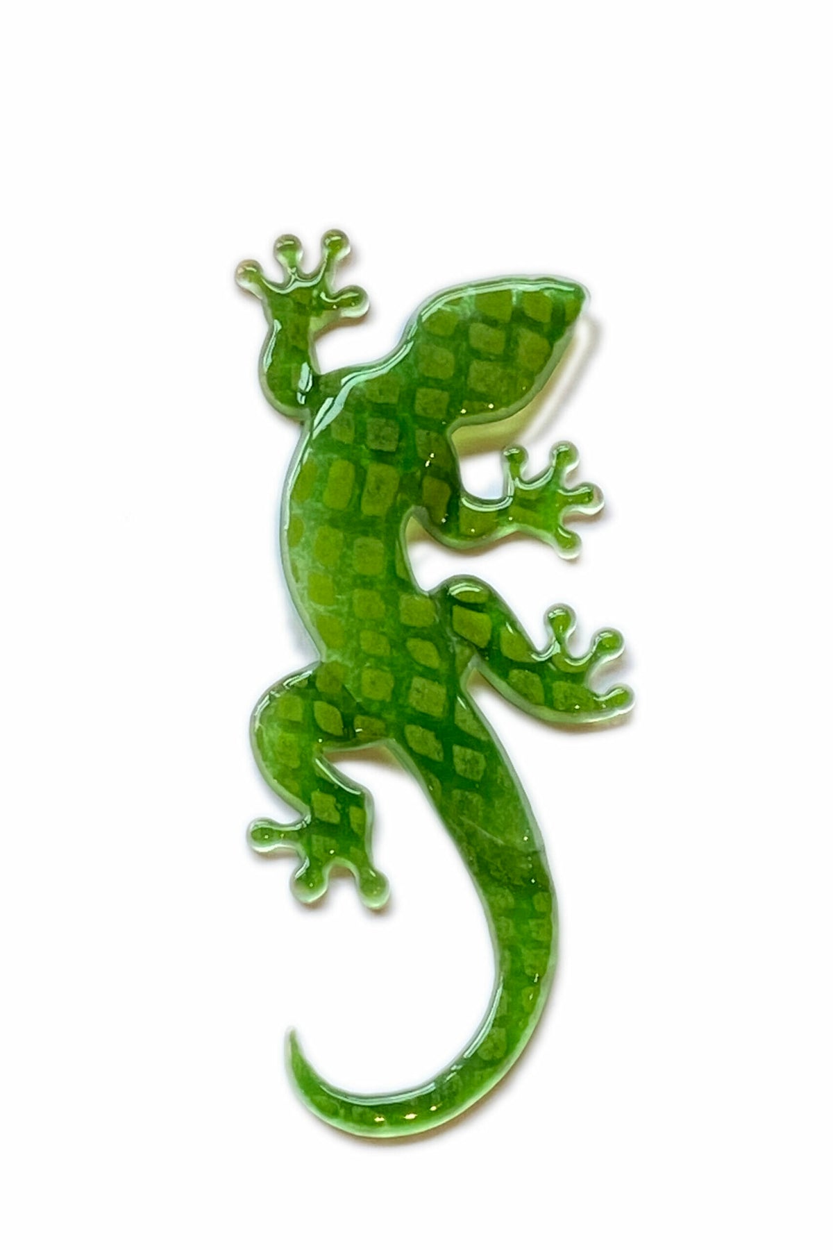 Lizard