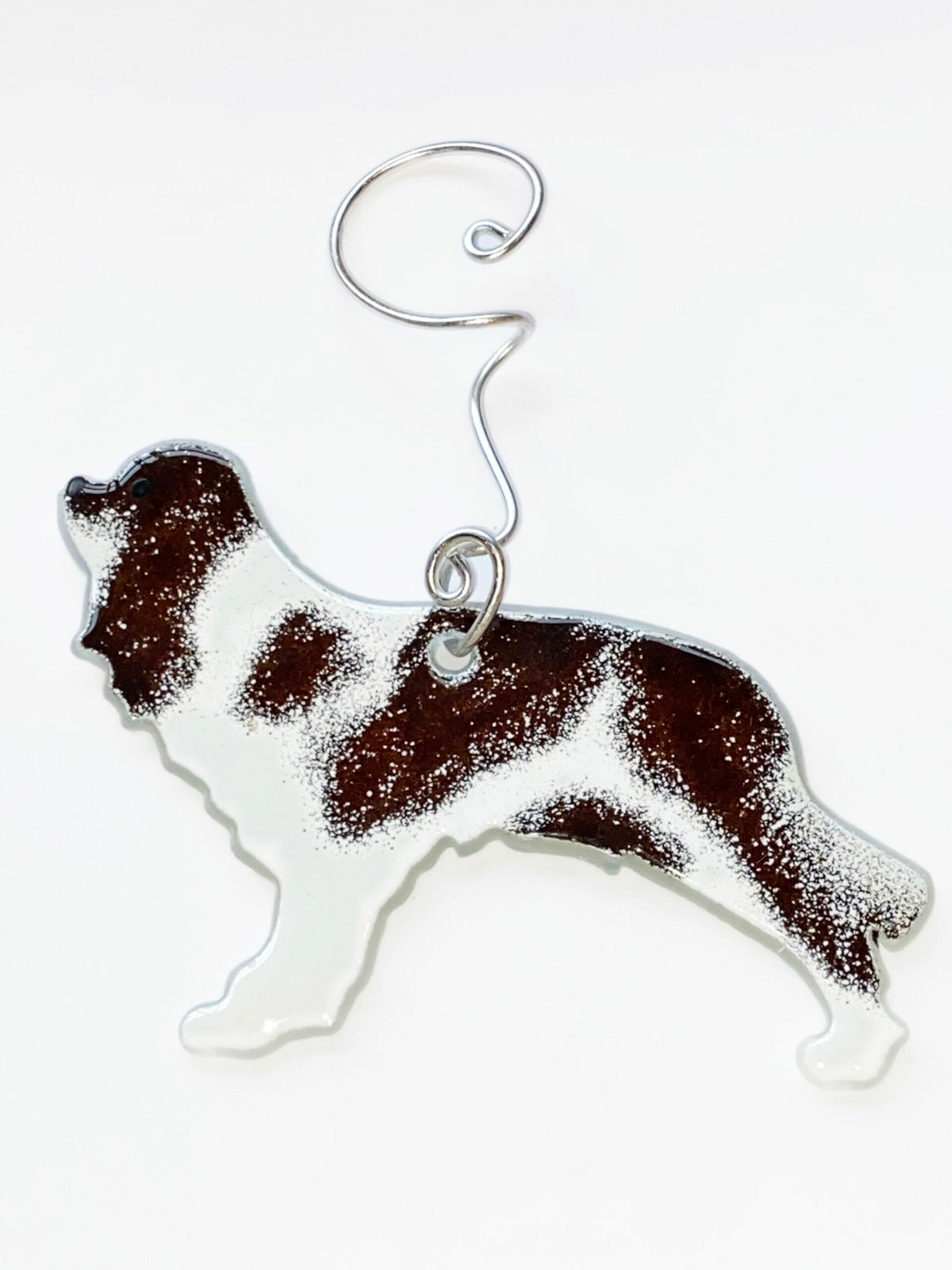 Dog - Cavalier King Charles