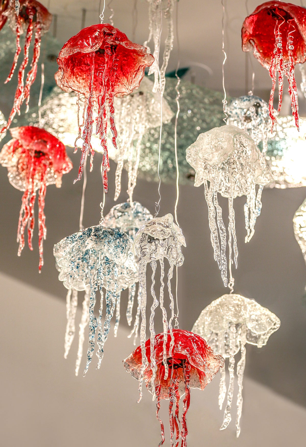 Jellyfish in Glass Class with Lisa Stirrett
