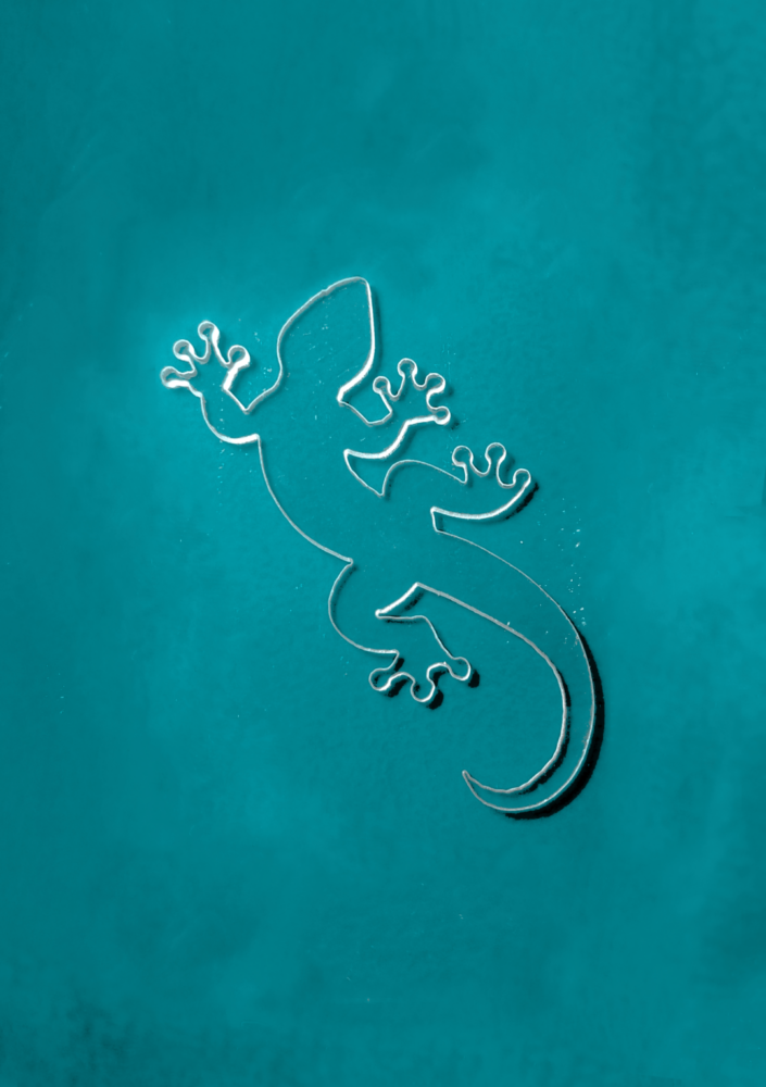 Lizard