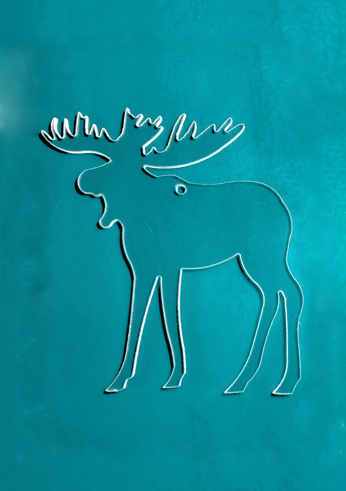 Moose