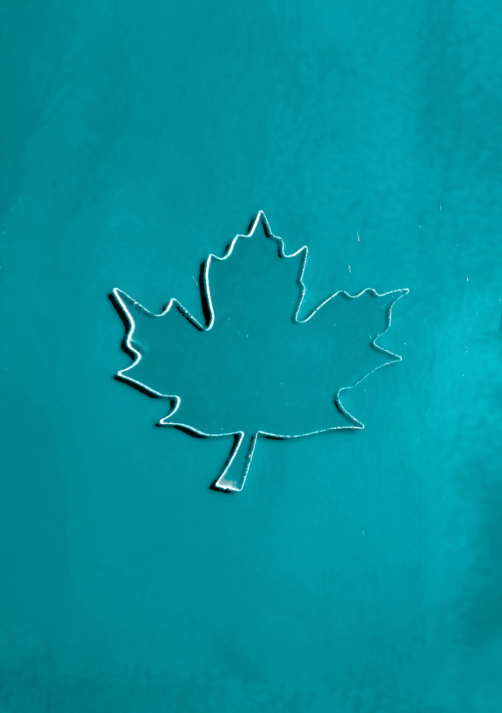 Maple Leaf