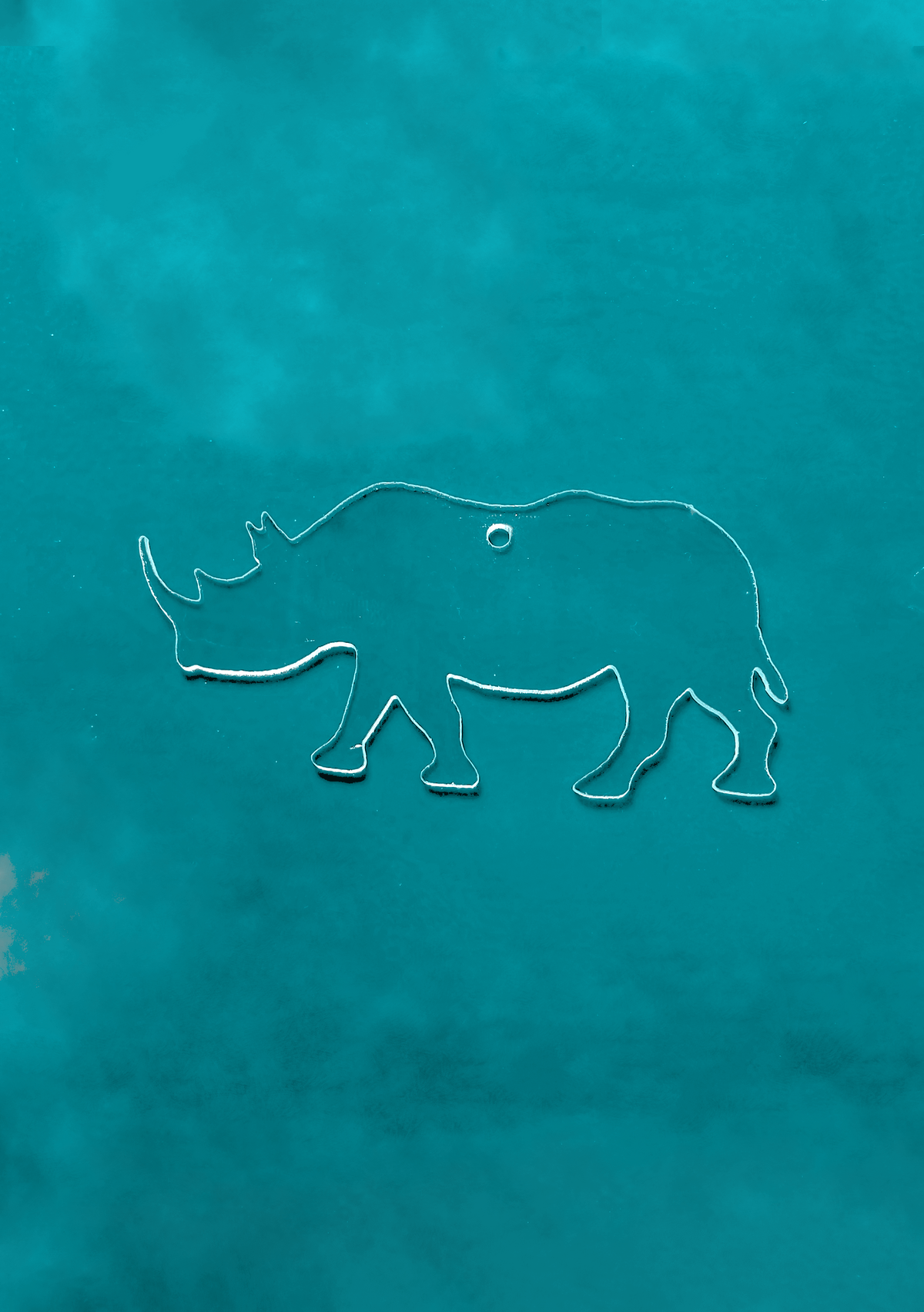 Rhino
