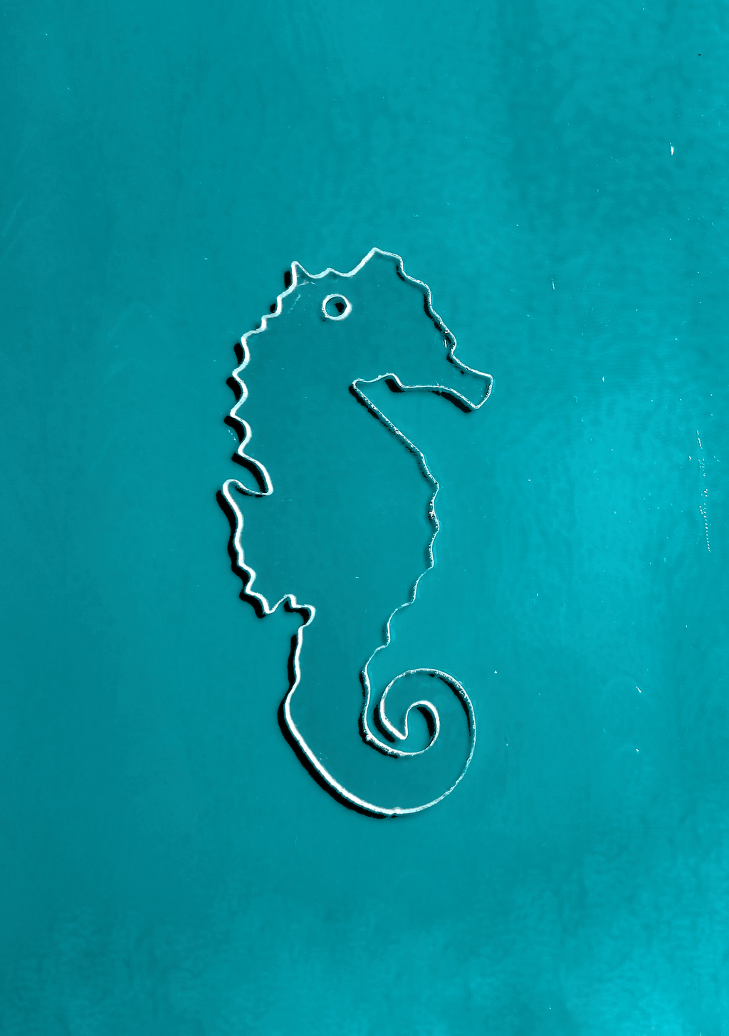 Seahorse
