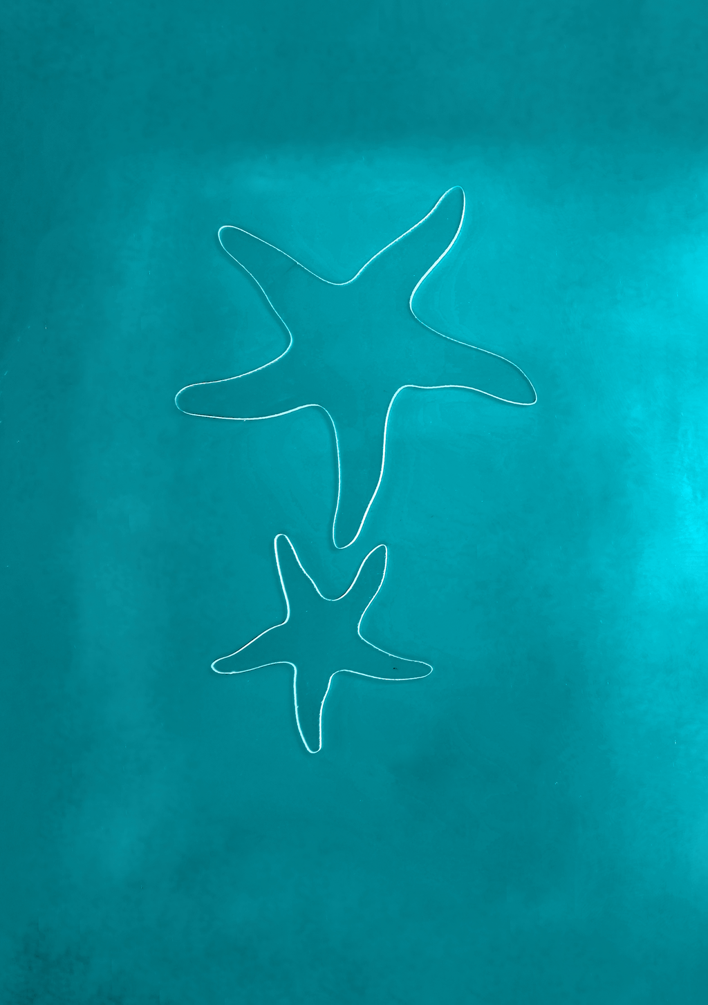 Starfish