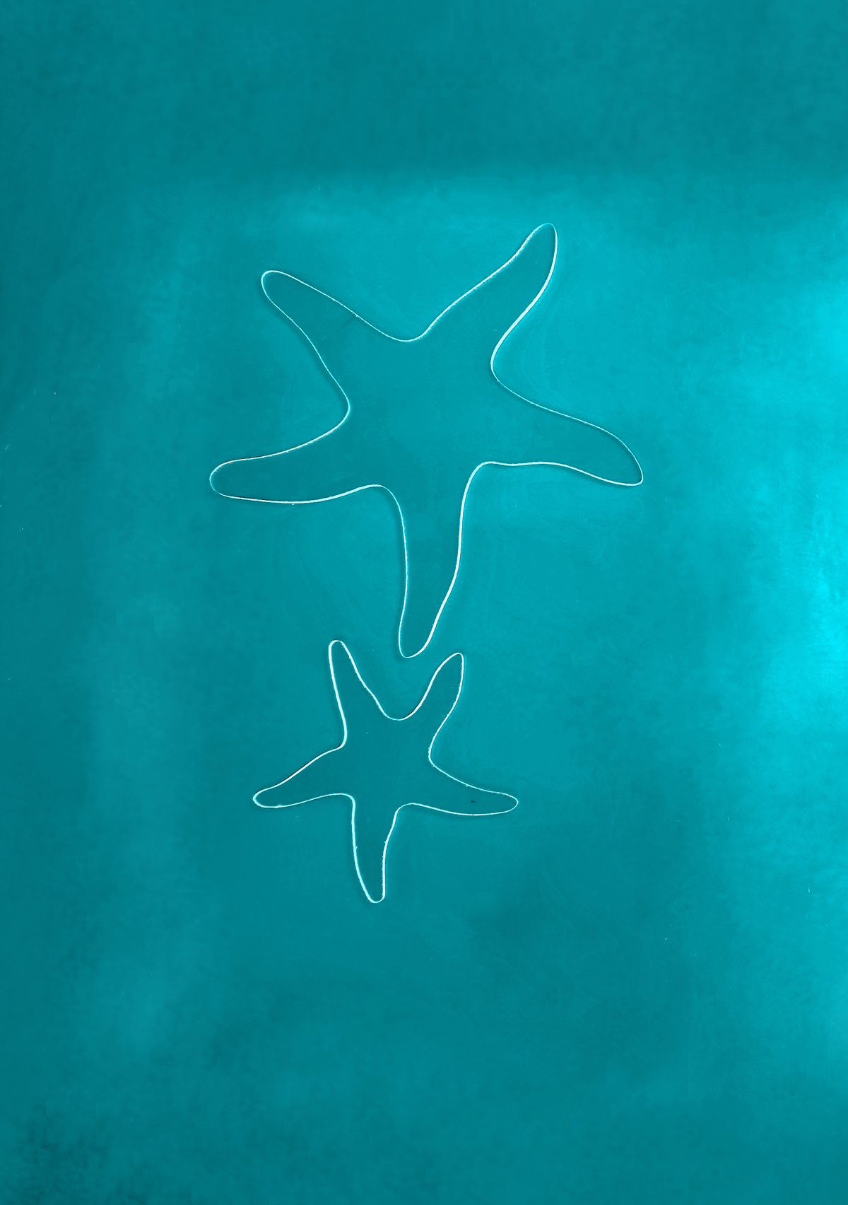 Starfish
