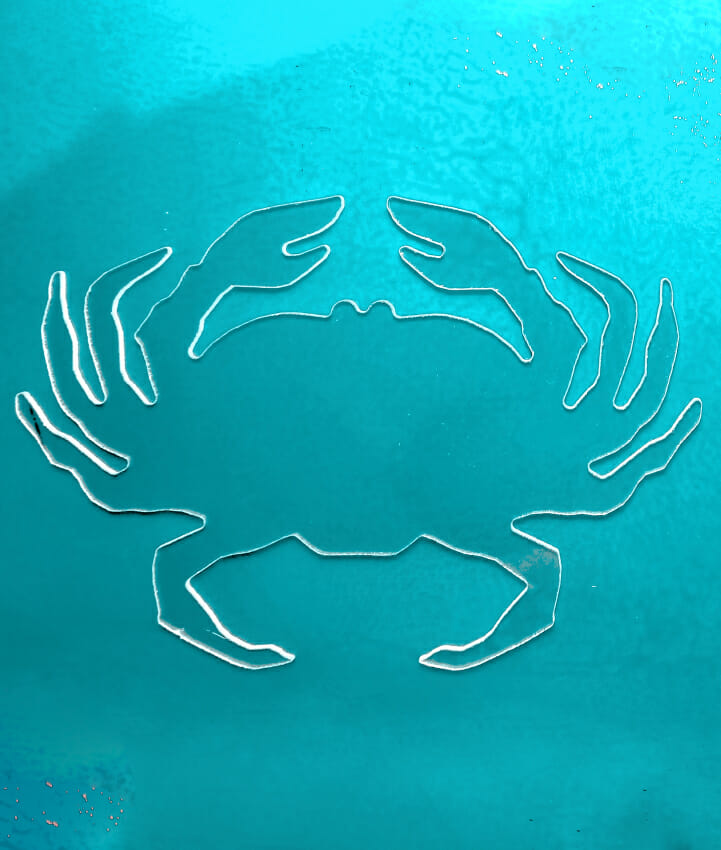 Crab
