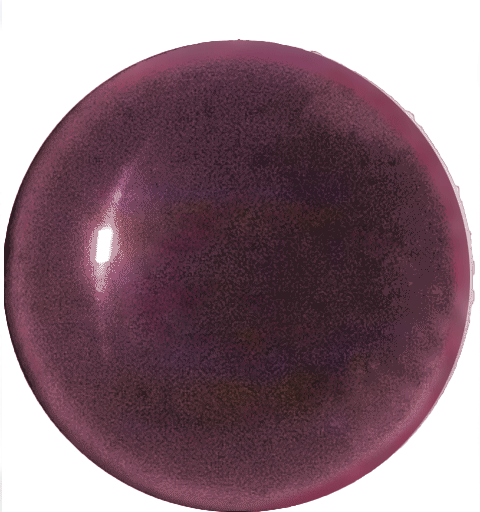 Nice Pink MyDots