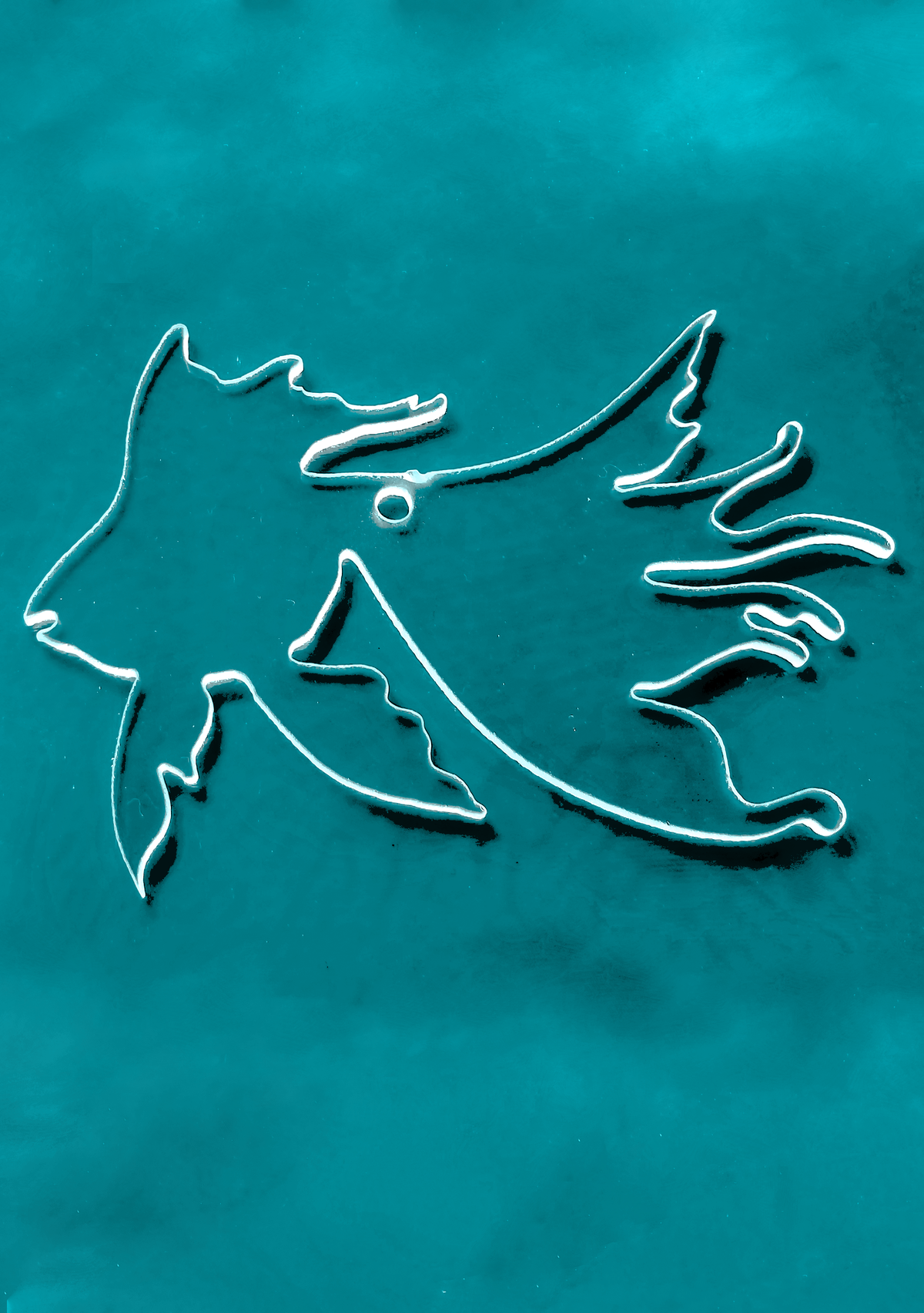 Angel Fish