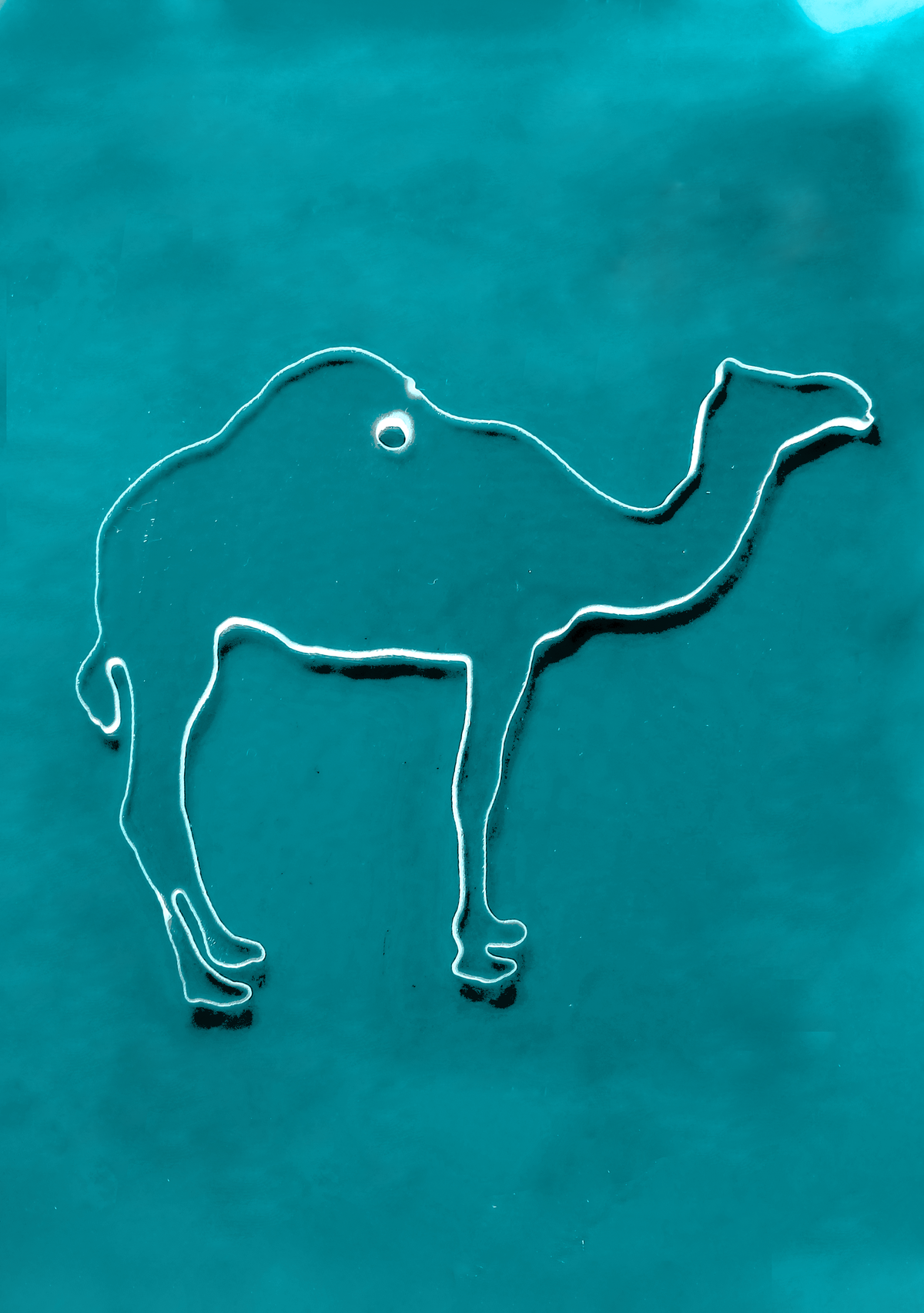 Camel
