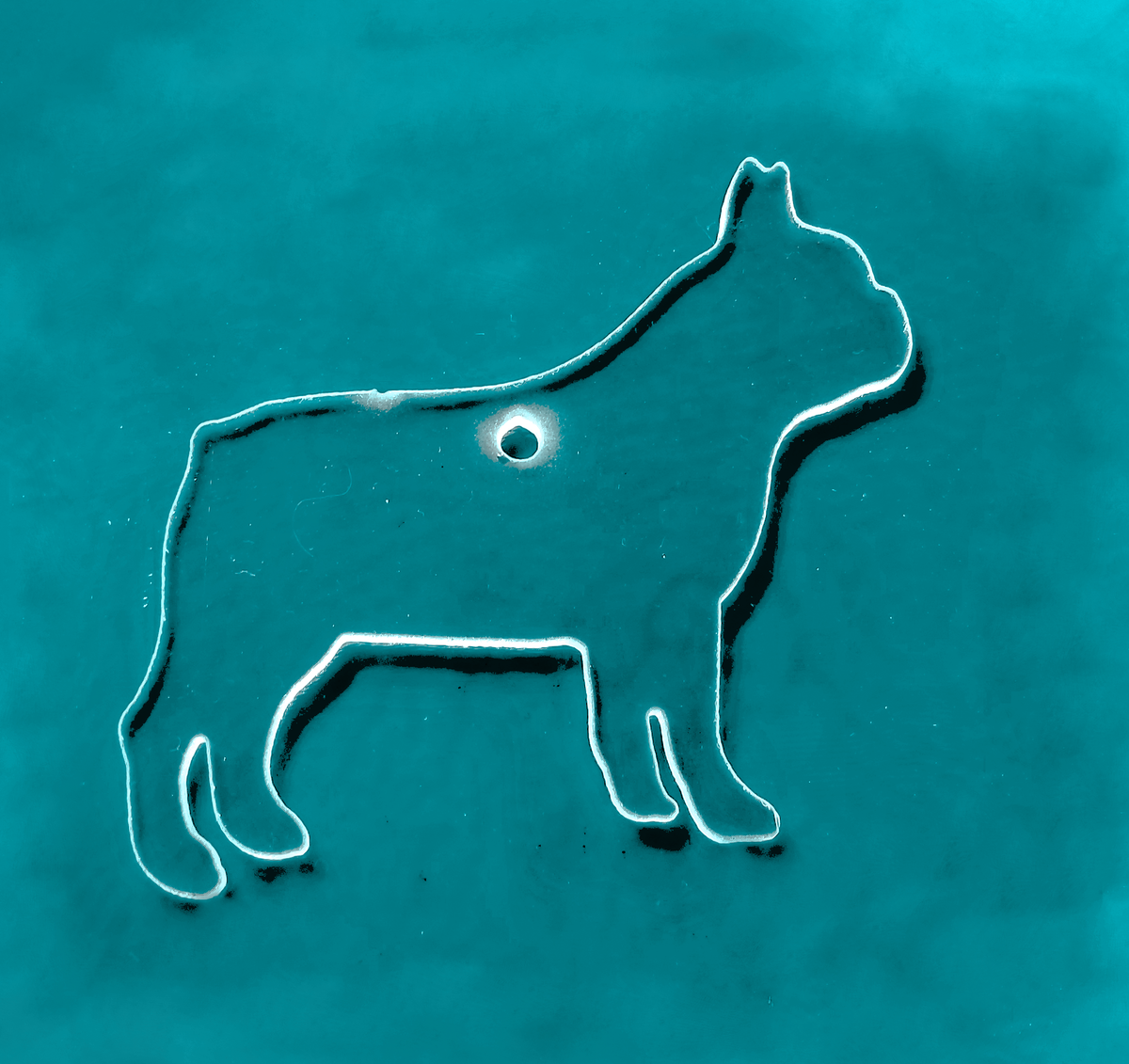 Dog - French Bulldog