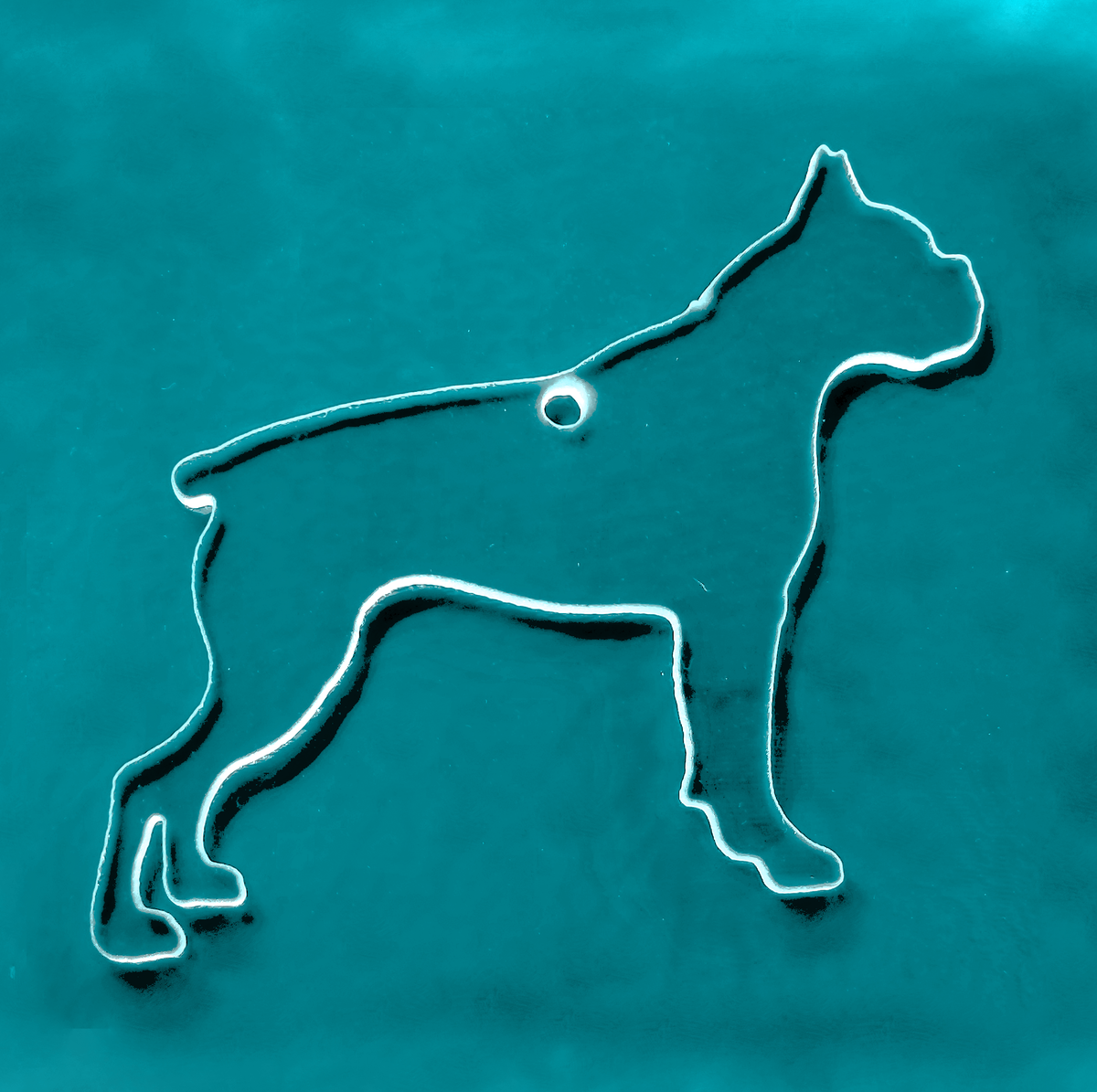 Dog - Boxer