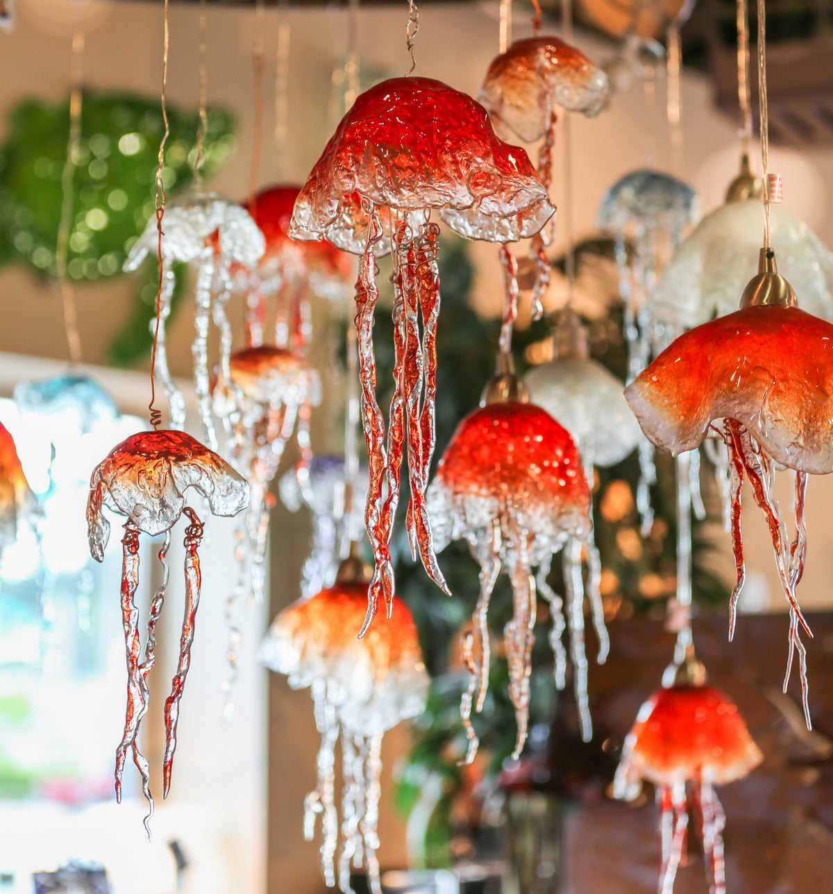 Jellyfish in Glass Class with Lisa Stirrett