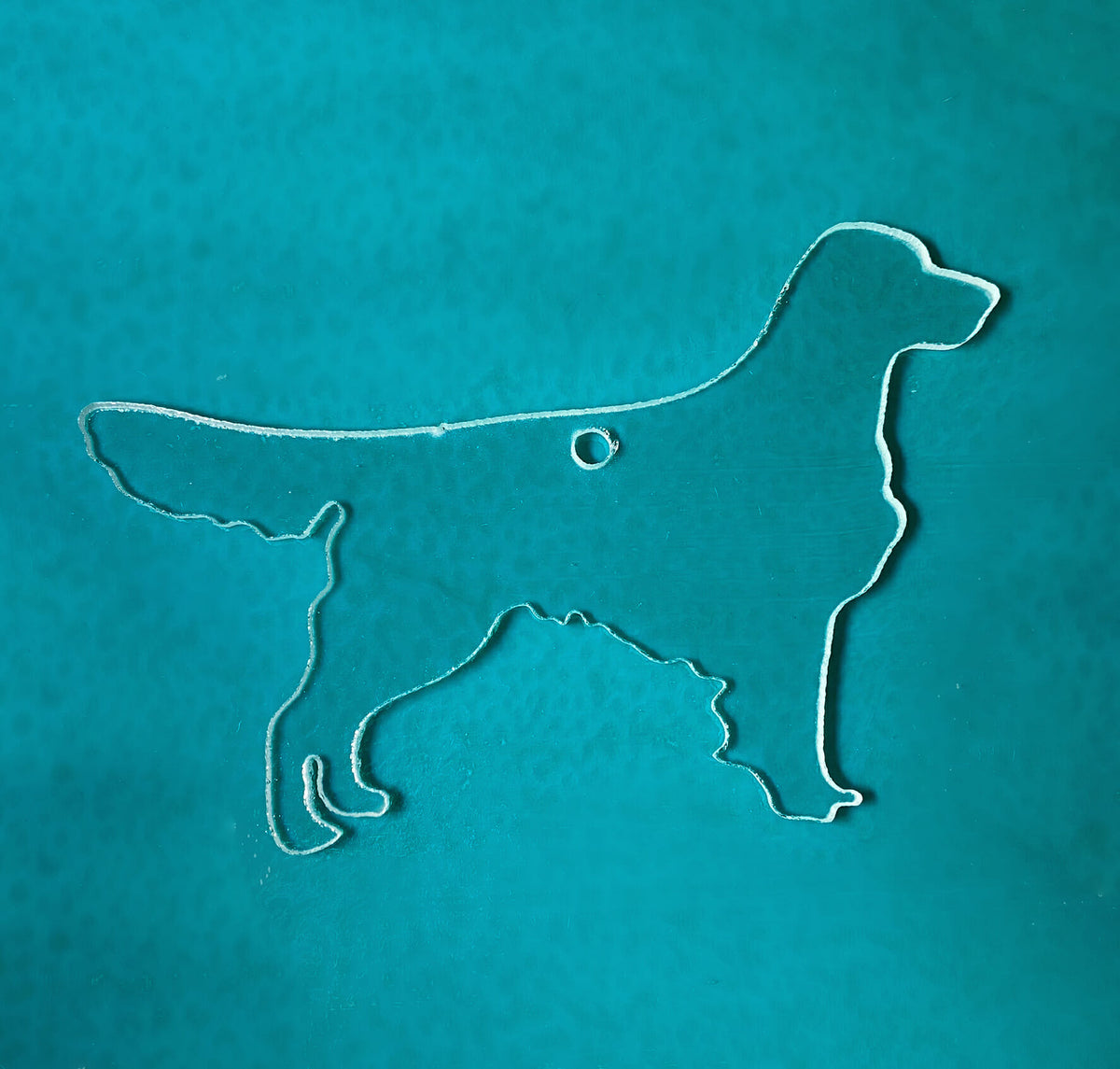Dog - Golden Retriever