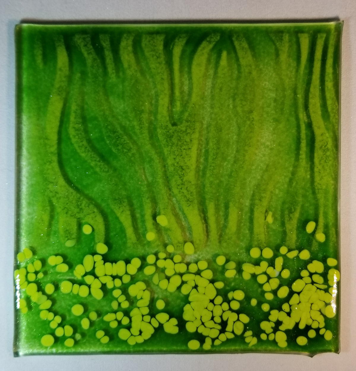 Green on Green Zebra