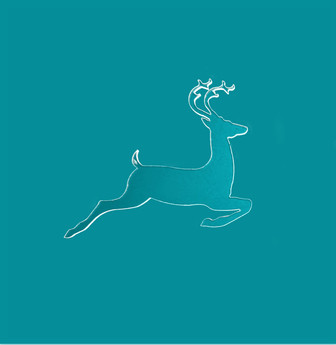 Reindeer