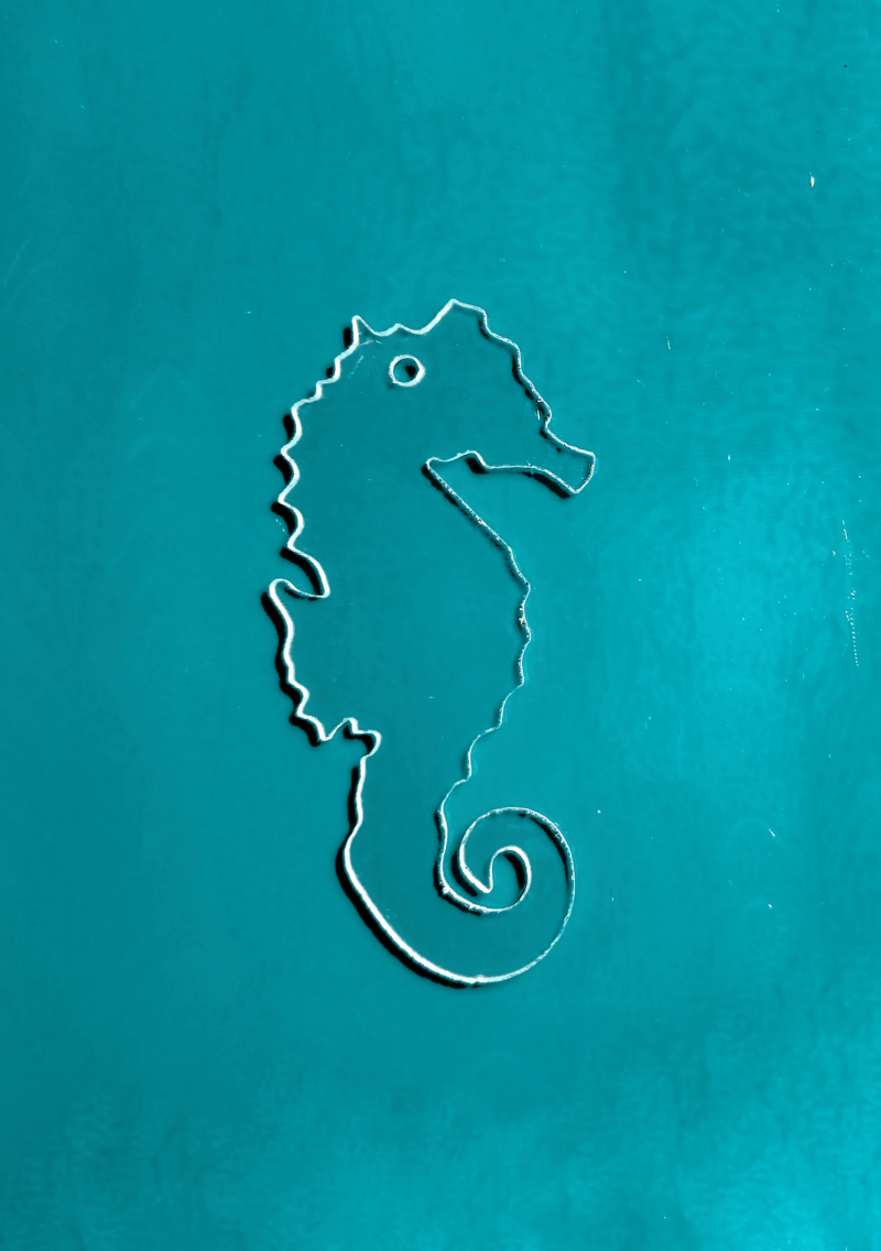 SeaHorse-1.png
