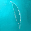 Feather